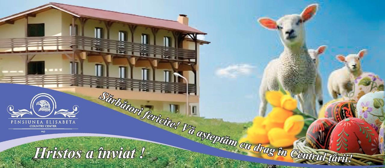Pensiunea Elisabeta Merghindeal エクステリア 写真